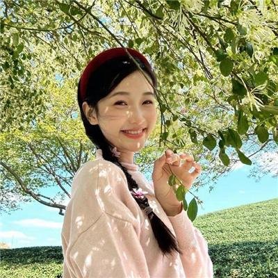 风骚律师第四季